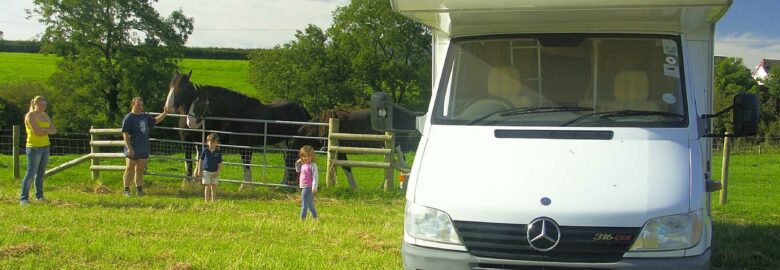 Dyfed Shire Horse Farm