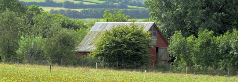 Dyfed Permaculture Farm Trust