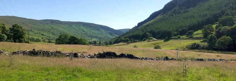 Cae Llwyd Farm