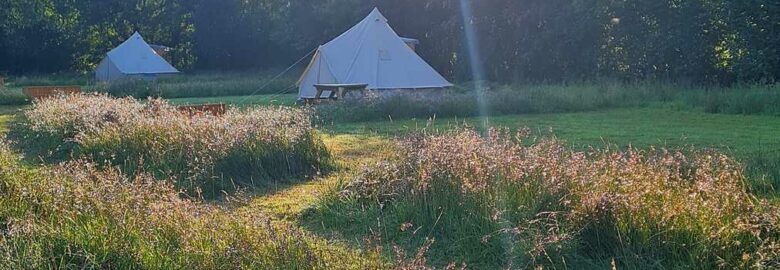 Tireithin Meadow Camping Retreat