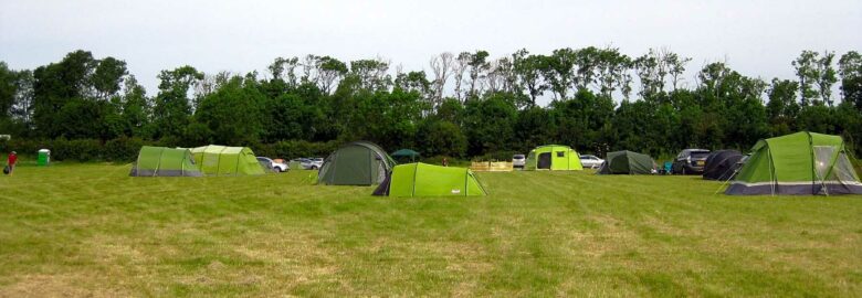 Alisons Woodpecker Camping Field