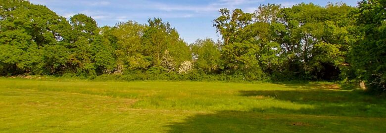 Meadow Tree Farm