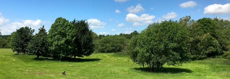 Cuckoo Farm Campsite