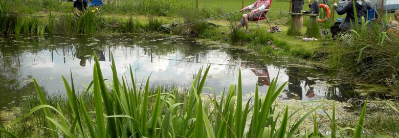 Spring Farm Campsite