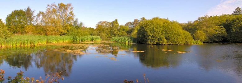 Wantisden Park