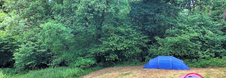 Dagger Wood Campsite