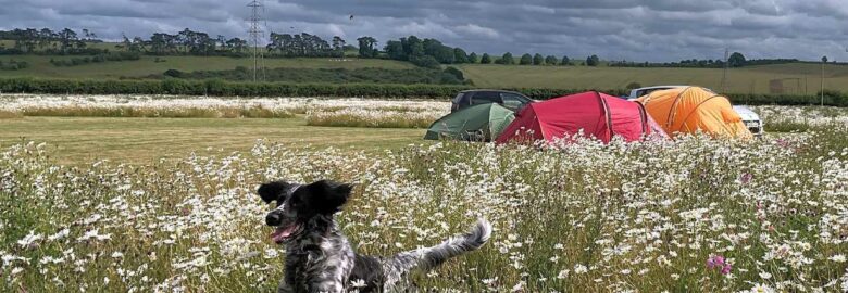 Rowbury Farm Camping