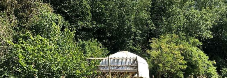 The Teasel Yurts