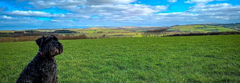 White Causey Farm