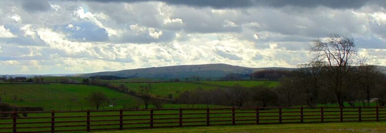 Manor House Farm Park