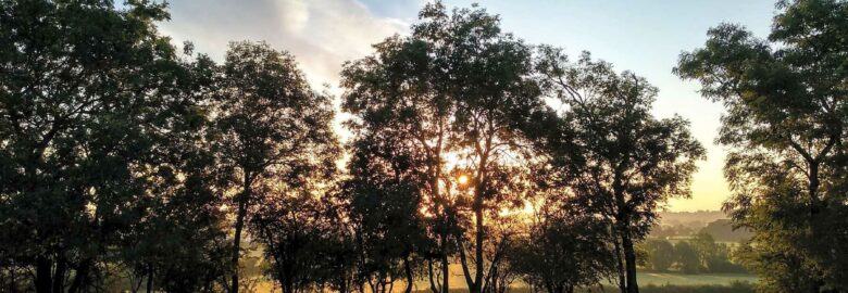 Park Farm Campsite