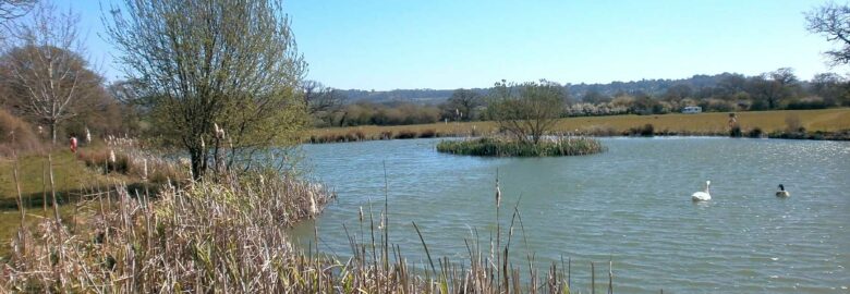 Shaftesbury Country Touring Park