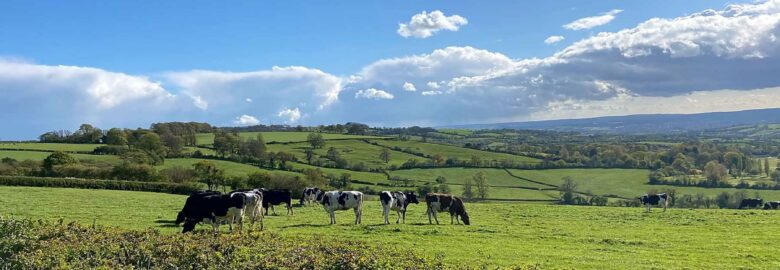 Toghill House Farm