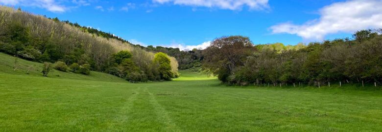 Littleton Farm Campsite