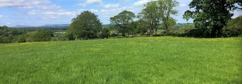 Hill House Farm Campsite