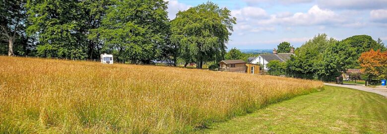 Wallace Lane Farm