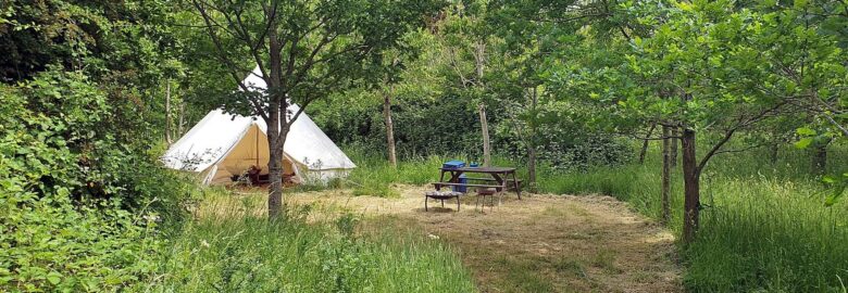 Dorothy Goes Glamping