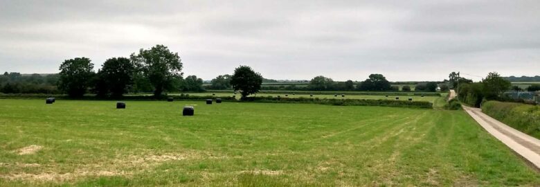 Walton Lodge Farm