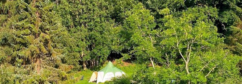 Owley Woods Glamping