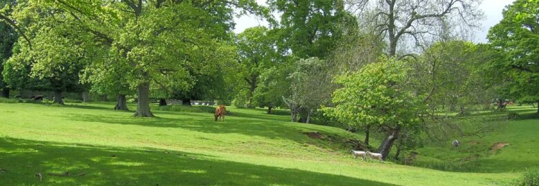 Constable Burton Hall Caravan Park