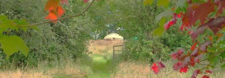 Red Kite Yurt at Orchid Meadows