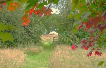 Red Kite Yurt at Orchid Meadows